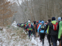 2013, 1er Trail Auffargis