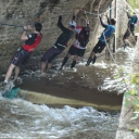 pont de singe