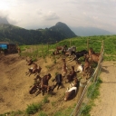 DCIM100GOPRO